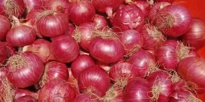 Onions