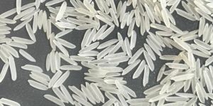 Basmati Rice