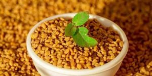 Fenugreek Seeds