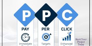 Ppc Campaign Management Services