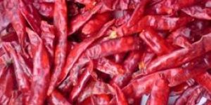 Sannam Dried Red Chilli
