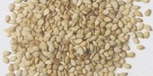 White Sesame Seeds