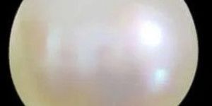 6.73 Ratti / 6.07 Carat Natural Pearl Gemstone Moti Stone