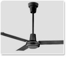 Ceiling Fans
