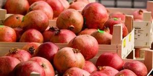 Fresh Pomegranate