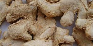 Dried Ginger