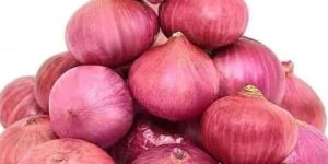 Red Onion
