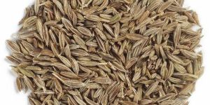 Cumin Seeds