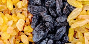 Raisin