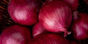 Red Onion