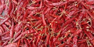 S4 Sannam Red Chilli