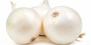 White Onion