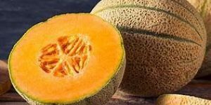 Fresh Cantaloupe