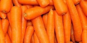 Fresh Carrot