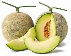 Fresh Green Muskmelon