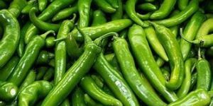 Green Chilli