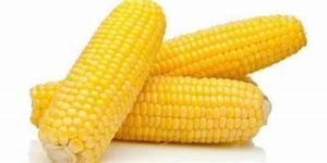 Sweet Corns