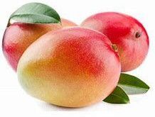 Totapuri Mango