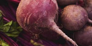 Frozen Beetroot Juice