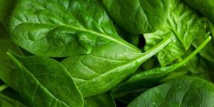 Frozen Spinach Juice