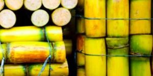 Frozen Sugarcane Juice