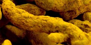 Frozen Turmeric Juice