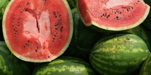 FROZEN WATERMELON JUICE