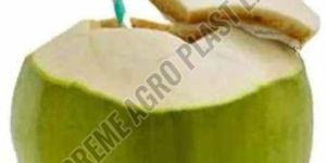 a Grade Fresh Tender Coconut