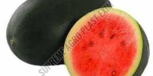 A Grade Kiran Watermelon