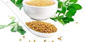 Fenugreek Powder