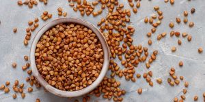 Fenugreek Seed