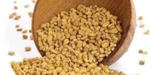 Fenugreek Seed