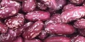 Samad Purple Speckled Kidney Beans