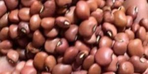 Samad Red Kidney Beans