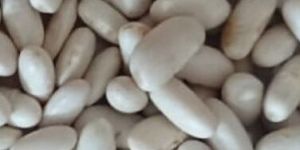 Samad White Kidney Beans
