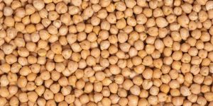 Kabuli Chickpeas