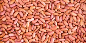 Light Skin Kidney Beans