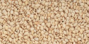 White Sesame Seed