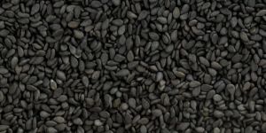 Z Black Sesame Seed