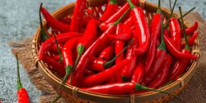 Red Chillies