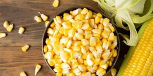 Sweet Corn Kernel