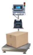 Shipper Weighing Scale