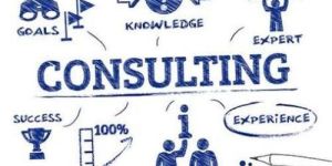 Walmart Fcca Audit Consultancy Services