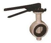 P.p Butterfly Valve