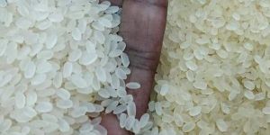 Gs Swarna Parboiled Round Rice