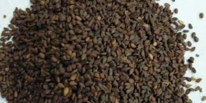 Red Brown Sesame Seeds
