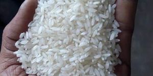 Swarna Mansoori Rice ( White / Raw )