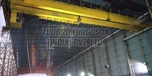 Double Girder EOT Crane
