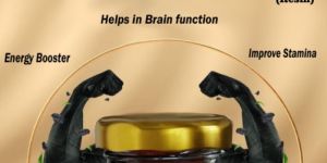 Pranacharya Greenshield Shilajit