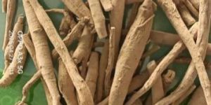 Ashwagandha Roots